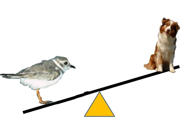 Of course it's a balanced committee!  (Sorry I haven't mastered Photoshop.)