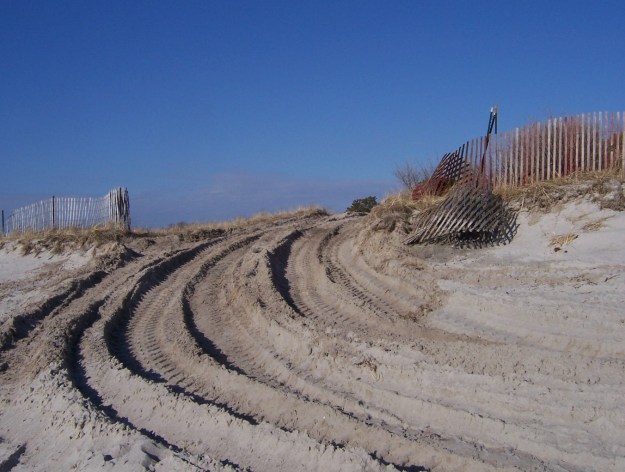 Dunes?  What dunes?  We're creating piping plover habitat!