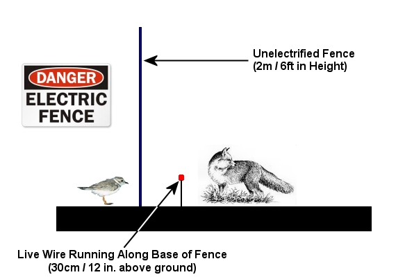 dogblog-fox fence