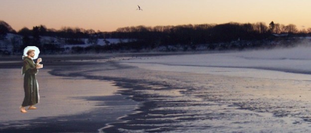 St. Francis blessing the birds at Higgins Beach. The dogs, not so much...