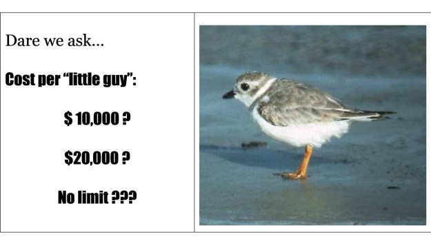 dogblog-cost per bird
