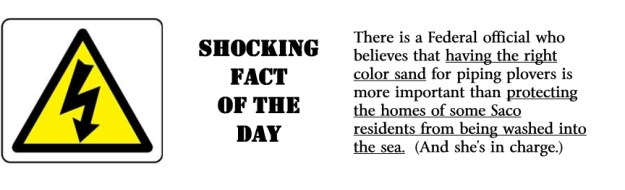 dogblog--shocking fact