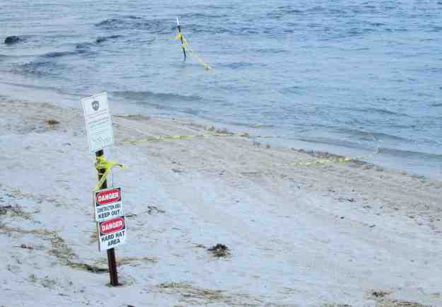 dogblog--western bch -02-14