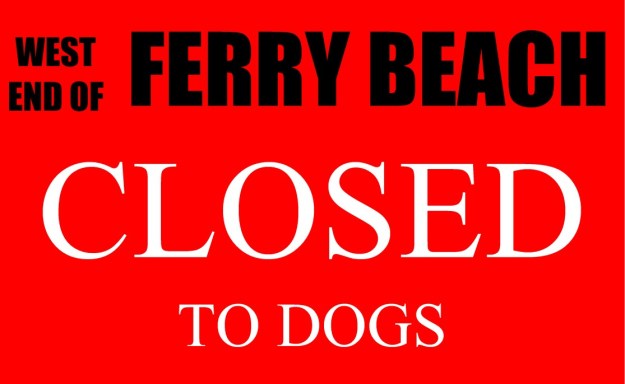 dogblog--ferry closed