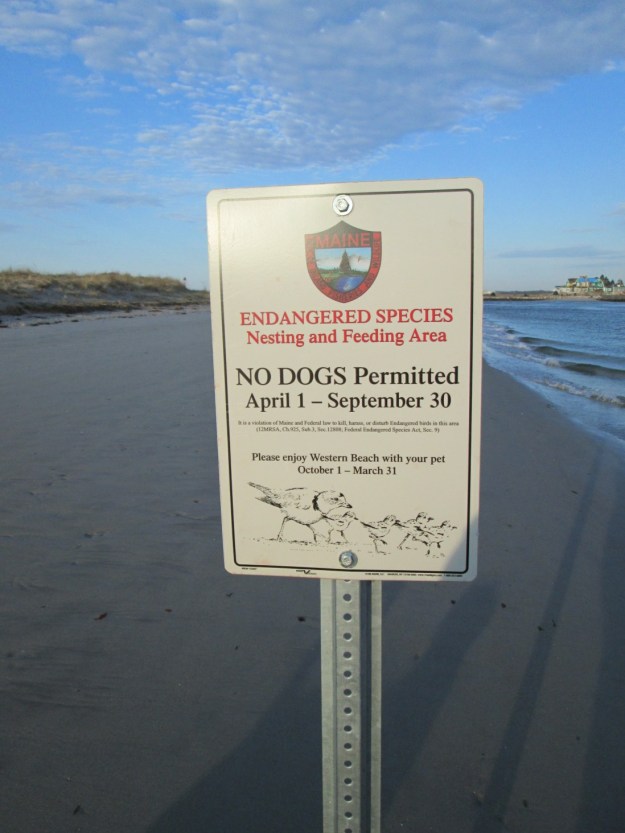 The new sign that went up on Ferry Beach last week.
