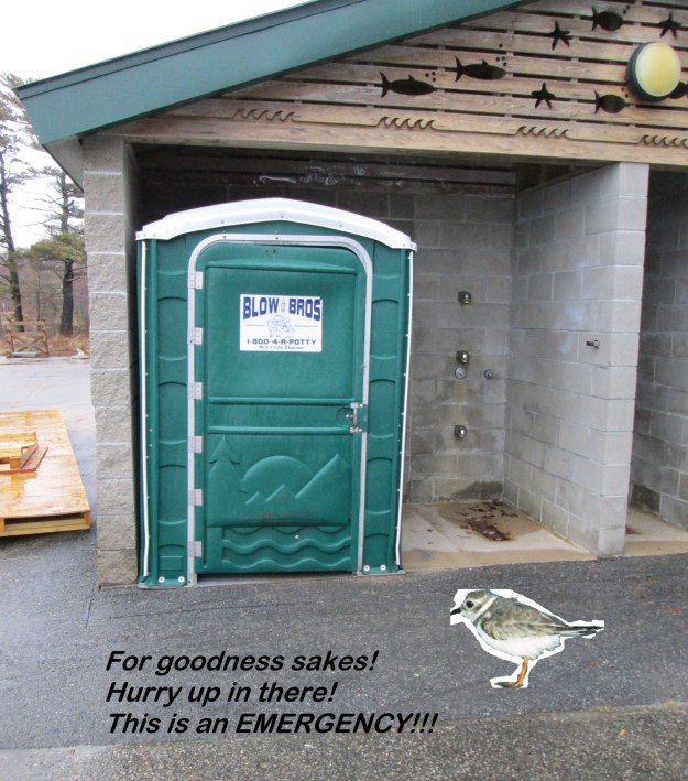 dogblog--plover emergency