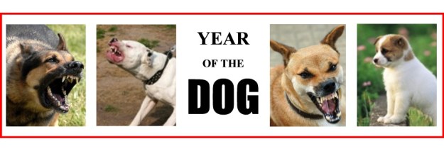 dogblog--year of the dog